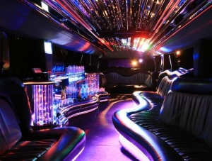 Party Bus Services in Schaumburg -  Chicago Limo