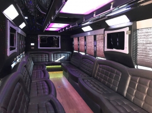 Party Bus Services in Arlington Heights -  Chicago  Limo 