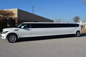 Wedding Transportation Service in Arlington Heights - Chicago