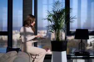 How Natural Brightness Can Transform Your Daily Mindset