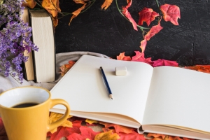 Creating Engaging Literature Lesson Plans: A Guide to Teaching Shakespeare in High School