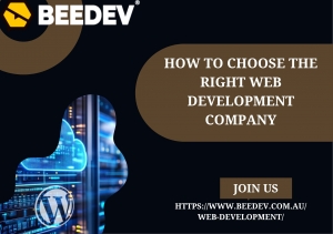How to Choose the Right Web Development Company