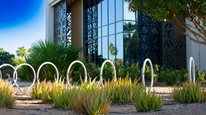 How a Landscaping Company in Saudi Arabia Can Boost Your Property Value