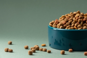 Exploring the Pet Food Market: Trends, Innovations, and Consumer Shifts Shaping 2025 and Beyond