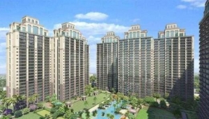 ACE Verde: A Green Oasis in Sector 22A, Greater Noida West
