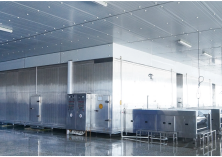 IQF (Individual Quick Freezer) Machine