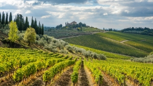 Tuscany Tours from Rome: Montepulciano Wine & Saturnia Springs Day Trips