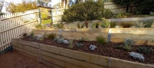 Create a Lasting Outdoor Impression with Expert Landscape Gardeners in Melbourne