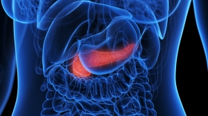 Pancreatic Cancer Therapeutics And Diagnostic Market is driven by Rising Incidence