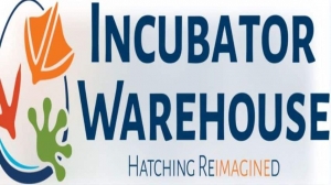 High-Tech Reptile Egg Incubators for Perfect Hatches