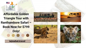 Affordable Golden Triangle Tour with Ranthambore Safari Book Now for $799 Only