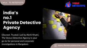 Professional Private Detective Agency Based in Bangalore - The Venus Detective Agency