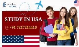 Best engineering course to study in USA