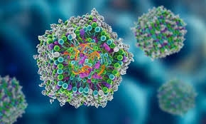Propionic Acidemia Therapeutic Market Is in Trends by Gene Therapy Advances