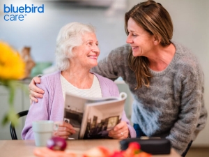 How Do I Choose the Best Provider for Homecare in Enfield?