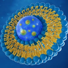 Lipid Nanoparticles Market Soars Driven by mRNA Vaccine Demand