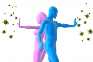 Unlocking the Power of Gut Health for Total Wellness