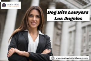 Dog Attack Victims in LA: Compensation, Lawsuits & Legal Steps