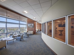 Professional Painting Services in San Diego: Transforming Spaces with Expertise and Color!