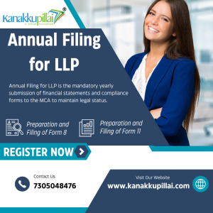 Annual Filing for LLP