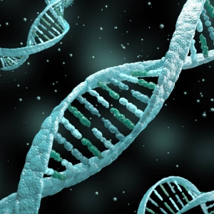 Exploring Bioinformatics and Genomic Technologies in South Africa