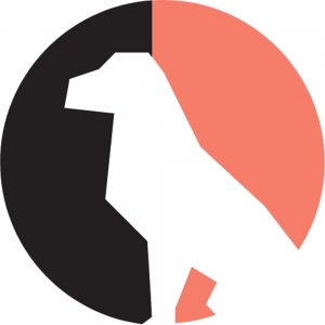 Irish Doodle Temperament Guide