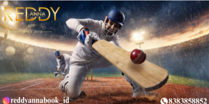 All You Need to Know About Reddy Anna : A Comprehensive Guide to the Best Service Provider for Cricket Fans in 2025.