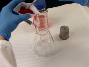 Human Primary Cell Culture Market is Estimated to Witness High Growth Owing to Innovations in Personalized Medicine