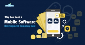 Why You Need a Mobile Software Development Company Now
