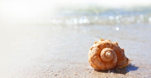 When the World Feels Too Loud: How Group Coaching Helps HSPs Thrive
