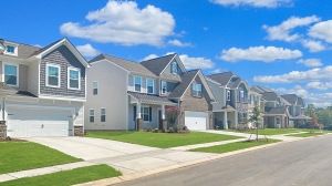 Best Realtors in Berkeley & Top Real Estate Agents in Albany, CA: A Complete Guide to Navigating the East Bay Property Market
