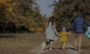 Why You Need a Surrogacy Lawyer in Illinois