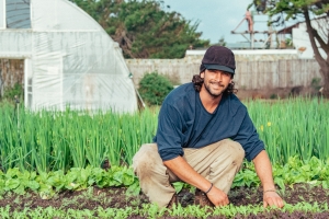B.Sc. (Hons.) Agriculture Programme