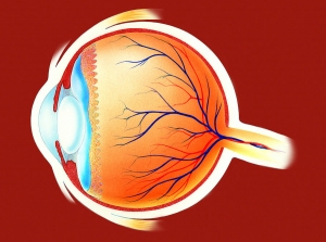 Open-Angle Glaucoma Drugs Market Trends by Innovative Delivery 
