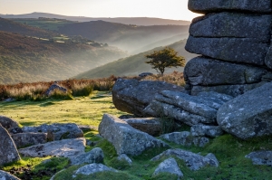 Looking for a Stone Yard Near You? Why KLZ Stone Is Worth the Visit