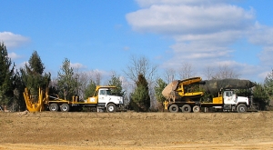 Revitalize Your Garden with Expert Tree Transplanting Services in Saudi Arabia