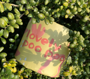 The Softest Bamboo Toilet Paper That’s Also 100% Sustainable—Here’s Why It Matters