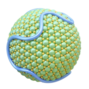 PCSK9 Inhibitors Market Booms by Rising Cardiovascular Risk