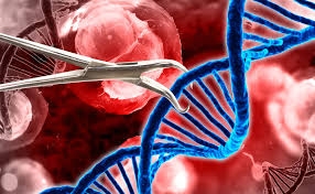 Genome Editing Market Surges, Precision Medicine Driver 