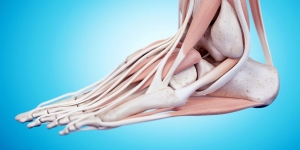 Tendonitis Drugs Market in Trends by Biologic Innovations