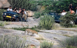Can You Really Explore Jawai in Just Two Days?