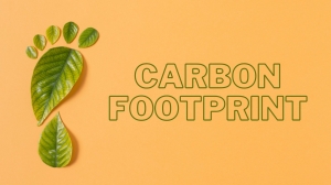 10 Ways to Reduce Carbon Footprint: Eco-Friendly Habits