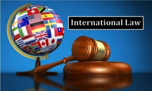 Who to Consider for Public International Law