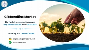 Gibberellins Market Share, Trends, Growth and Outlook 2034