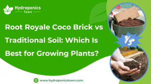 Root Royale Coco Brick vs Traditional Soil: Which Is Best for Growing Plants?