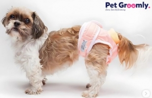 Top Dog & Pet Groomers in Kolkata Near You | Pet Groomly Services