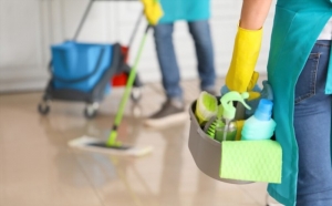 Sparkle and Shine: Discover the Art of Professional Cleaning Services