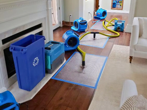 Who Offers the Most Reliable Water Damage Restoration in Irvine?
