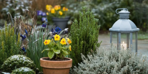 Transform Your Outdoor Space with Expert Decking and Gardening Services in Sutton & London
