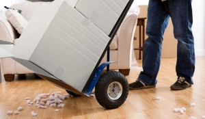 Seamless Moves: Essentials to Consider When Choosing Removalists in Melbourne, Sydney